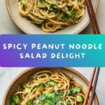 Spicy Peanut Noodle Salad Recipe