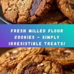Easy Fresh Milled Flour Cookies Recipe