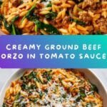 Ground Beef Orzo with Tomato Cream Sauce Recipe