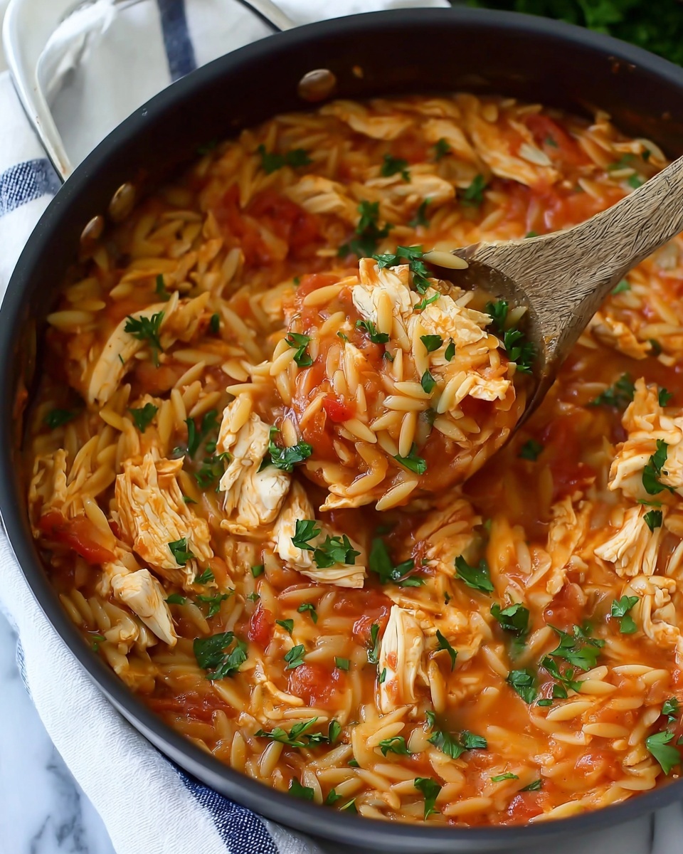 Creamy Tomato Orzo with Chicken Recipe - Recipe Image
