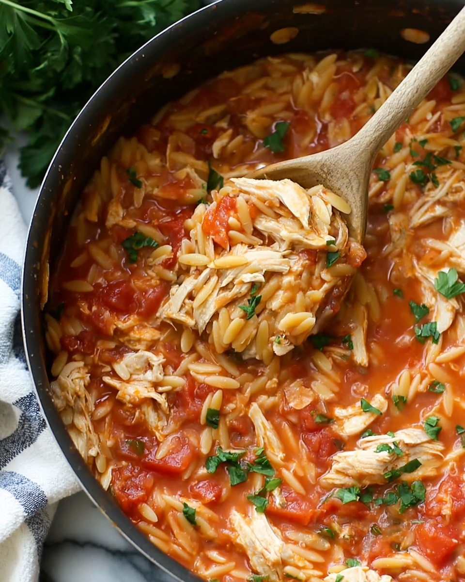 Creamy Tomato Orzo with Chicken Recipe - Recipe Image