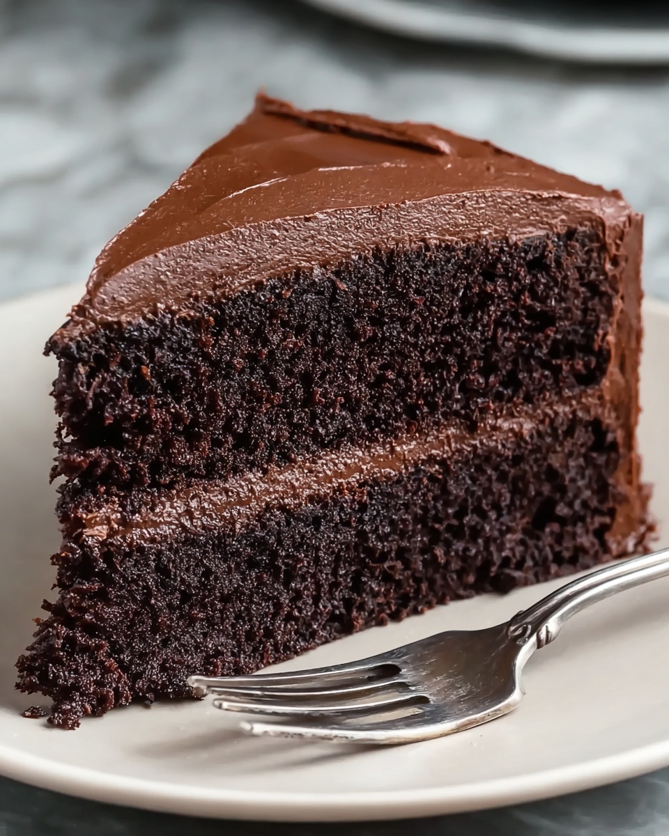 Chocolate Buttermilk Cake Recipe - Recipe Image