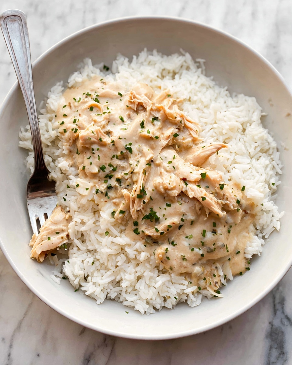 Crockpot Italian Chicken Recipe - Recipe Image