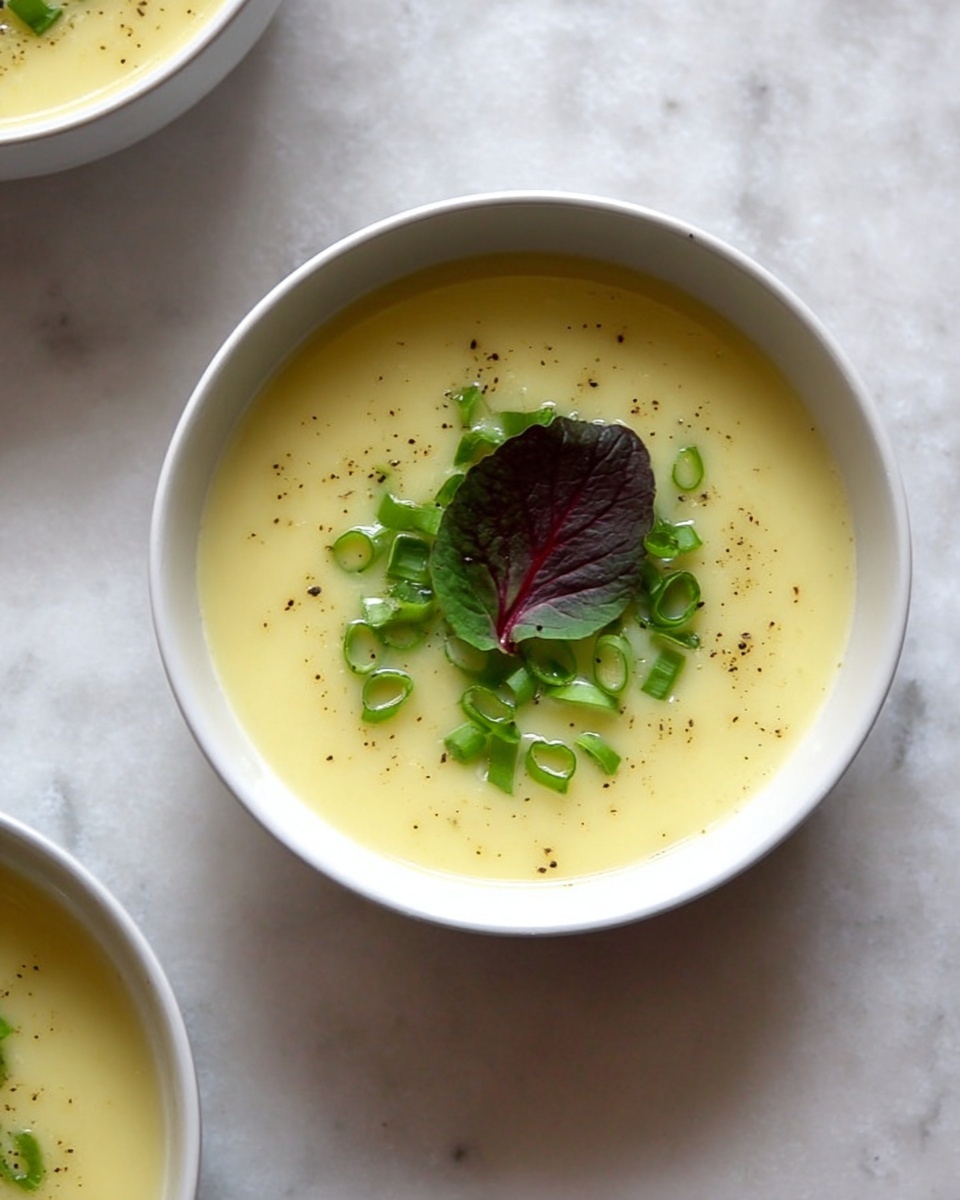 Instant Pot Potato Leek Soup Recipe - Recipe Image