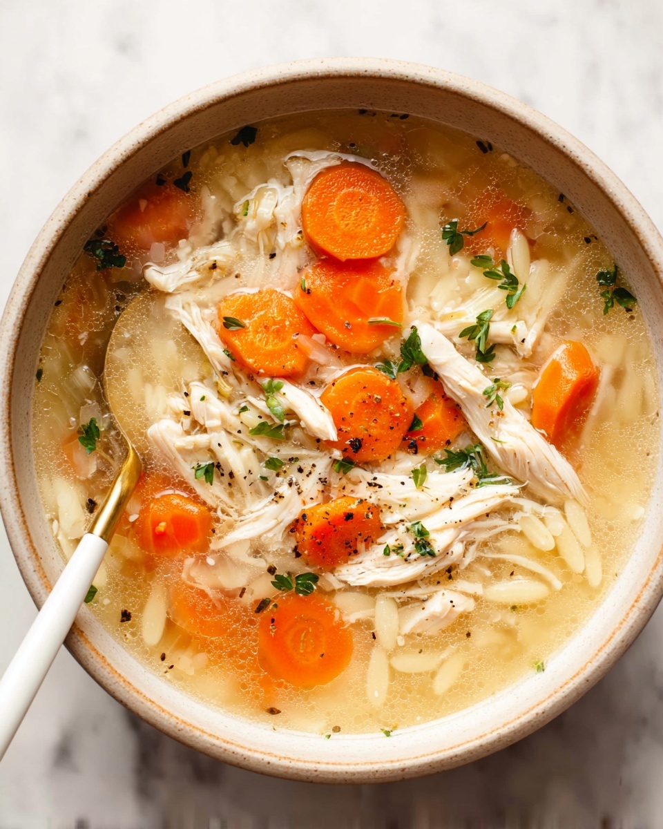 Crockpot Lemon Chicken Orzo Soup Recipe - Recipe Image