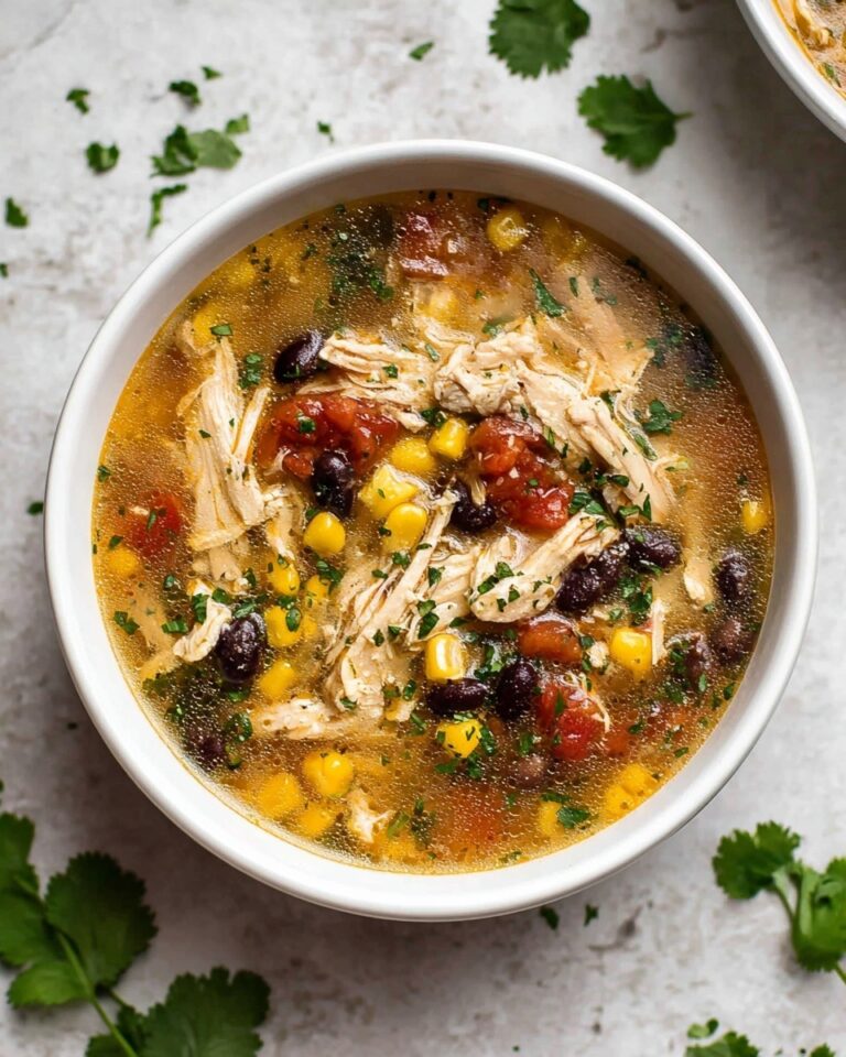 Crockpot Chipotle Chicken Soup Recipe