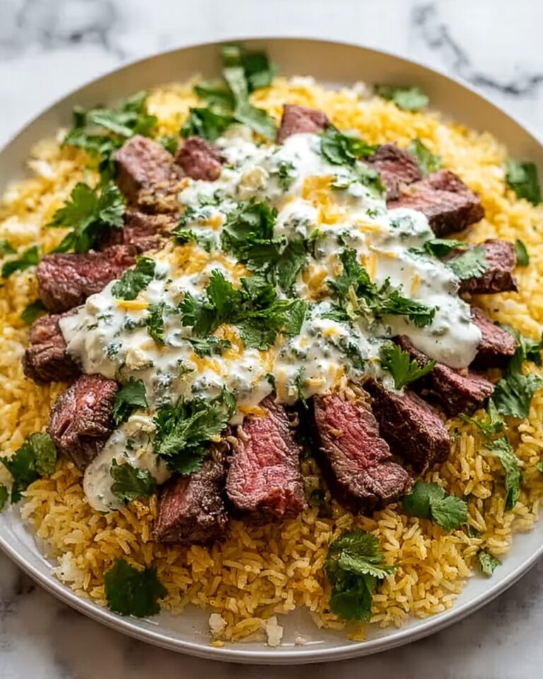 Steak Queso Rice Recipe